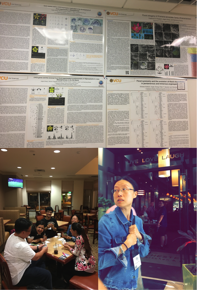 Zhang lab members at Botany 2018_top picture showing posters_bottom left showing members laughing_bottom right showing Wenheng with a perfect motto for our lab