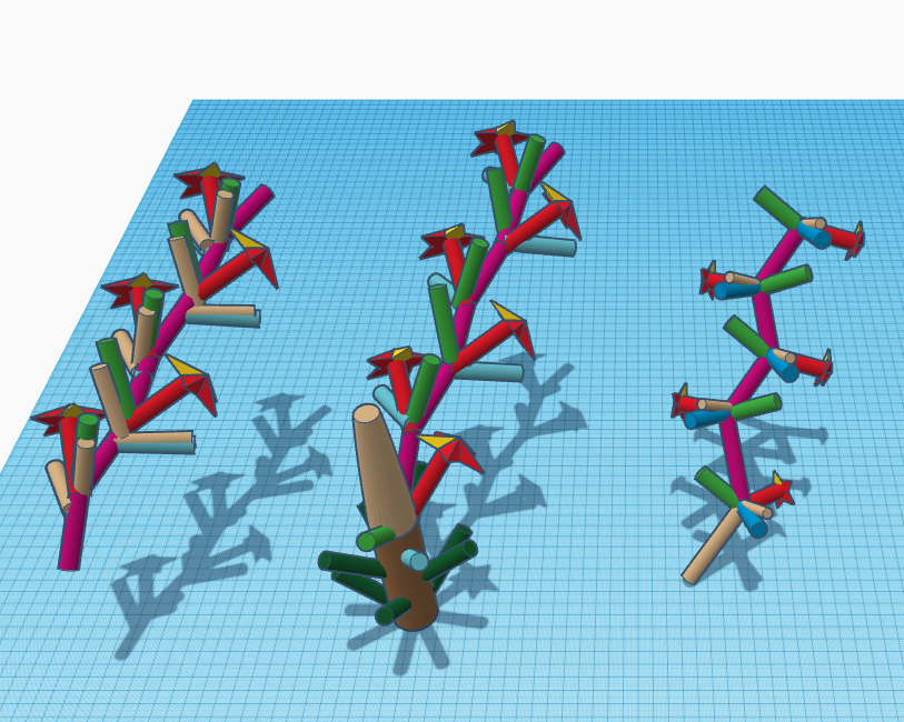 3D structure of the inflorescence
